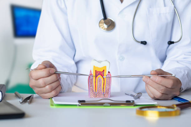 Best Emergency Dentist for Lost Fillings or Crowns in Griggsvle, IL